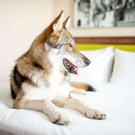 Hampton By Hilton 3*