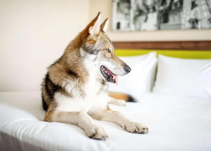 Hampton By Hilton 3*